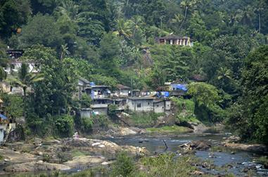 On the Route to Thekkady_DSC7067_H600